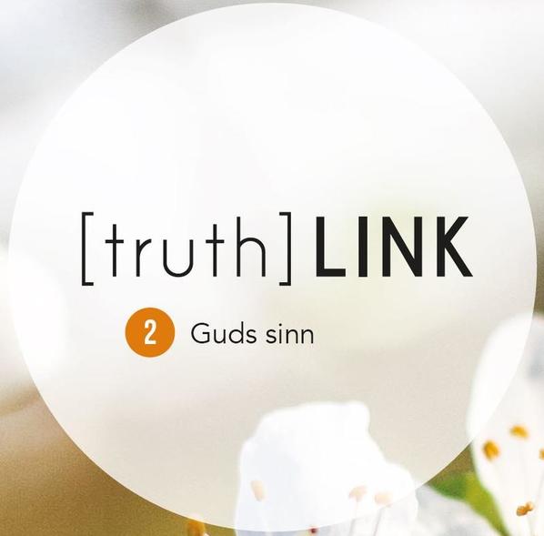 Truth Link - 02. Guds sinn