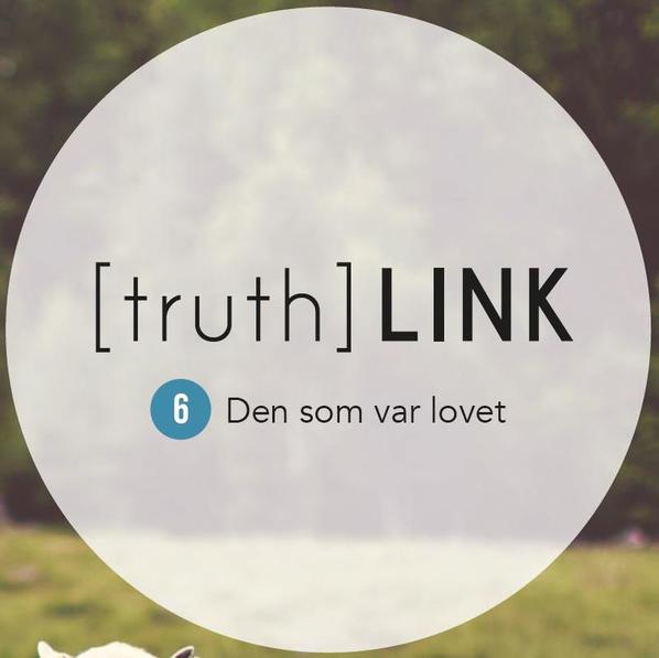 Truth Link - 06. Den som var lovet