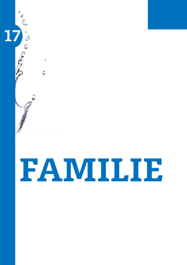 Bibelstudieguide - 19. Familie