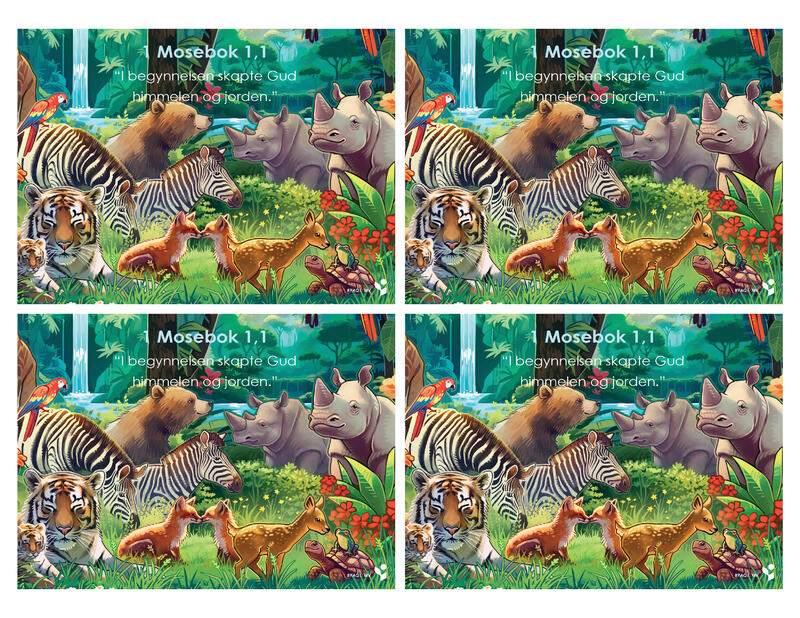 MINNEVERSKORT SMJMAQ1G